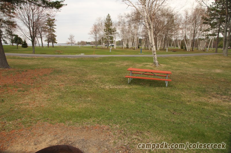 Campsite Photo of Site 83 at Coles Creek State Park, New York - Looking Back Towards Road
