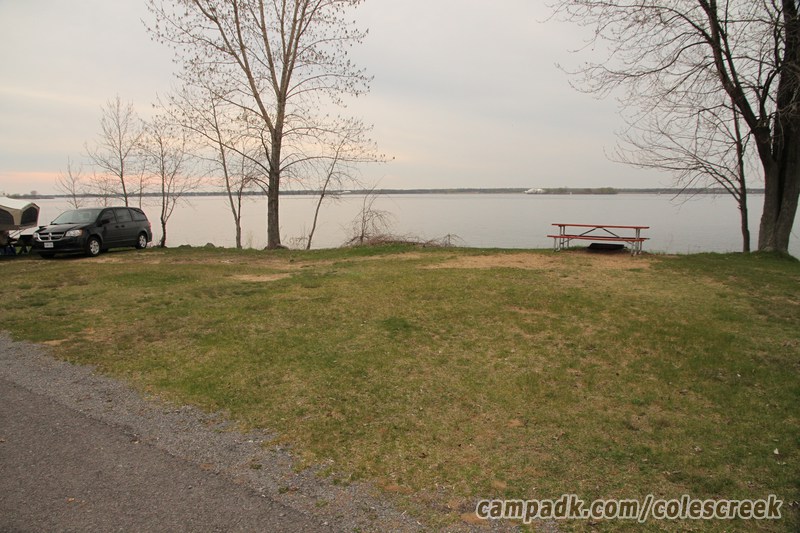 Campsite Photo of Site 203 at Coles Creek State Park, New York - Looking at Site from Road