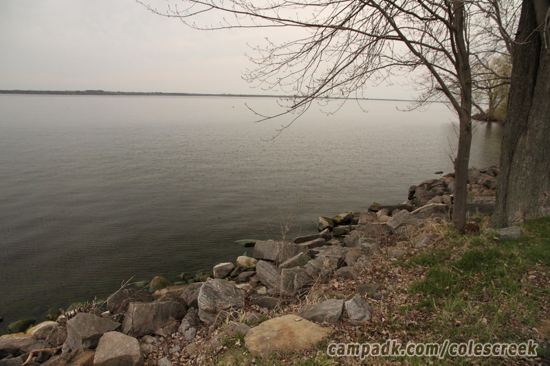 Campsite Photo of Site 203 at Coles Creek State Park, New York - Shoreline