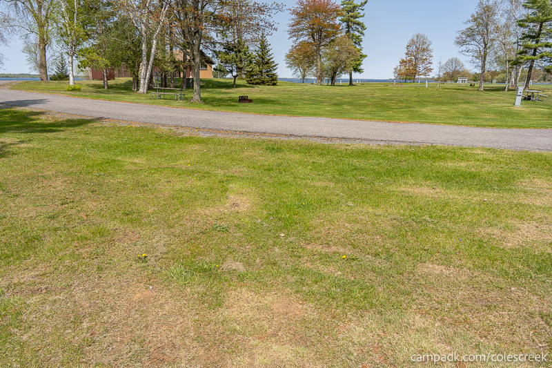Campsite Photo of Site 83 at Coles Creek State Park, New York - Looking Back Towards Road