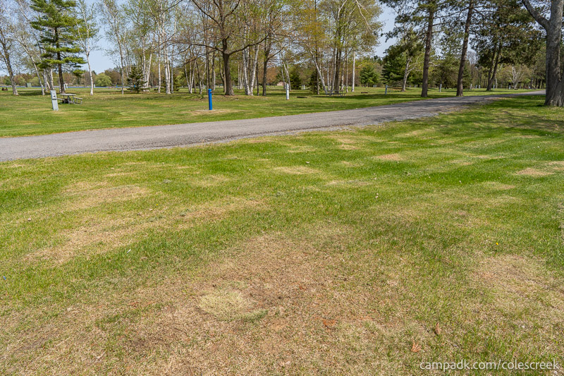 Campsite Photo of Site 83 at Coles Creek State Park, New York - Looking Back Towards Road