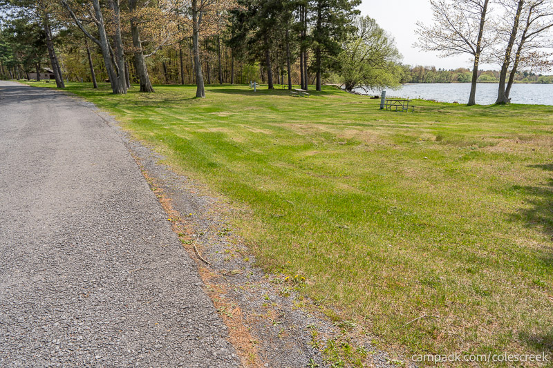 Campsite Photo of Site 83 at Coles Creek State Park, New York - View Down Road from Campsite