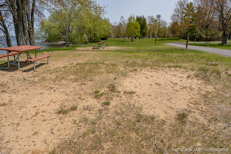 Campsite Photo of Site 203 at Coles Creek State Park, New York - Cross Site View