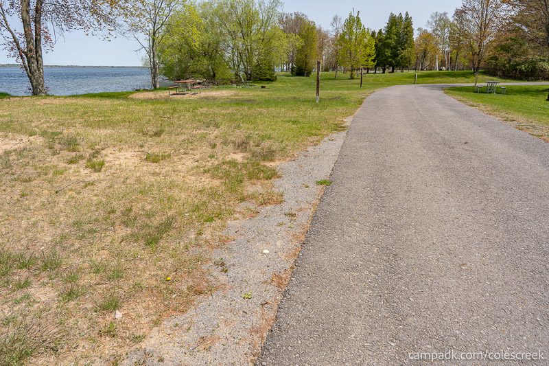 Campsite Photo of Site 203 at Coles Creek State Park, New York - View Down Road from Campsite