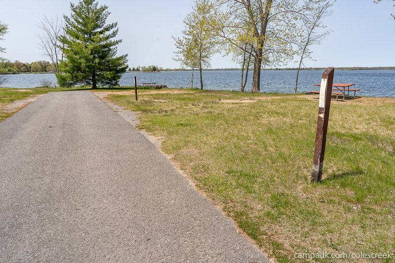Campsite Photo of Site 203 at Coles Creek State Park, New York - View Down Road from Campsite