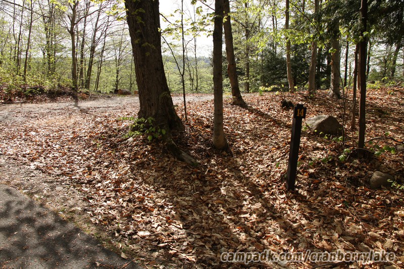 Campsite Photo of Site 14 at Cranberry Lake Campground, New York - Looking at Site from Road Sign Visible