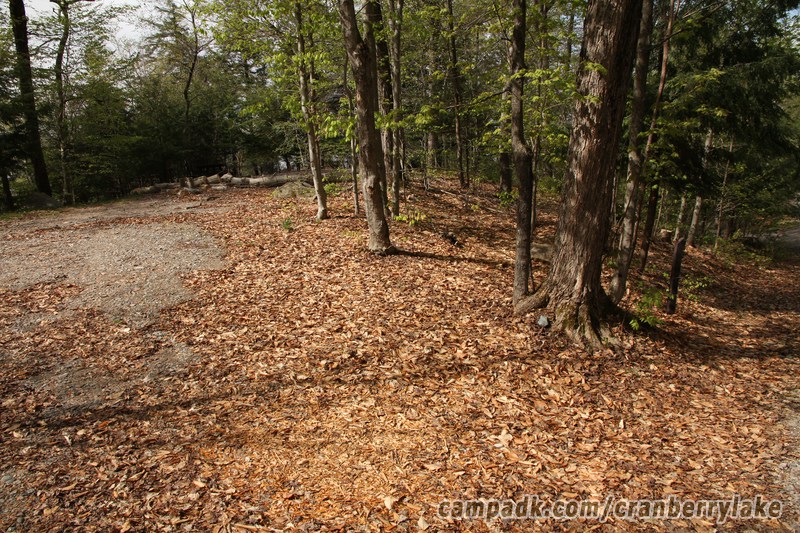 Campsite Photo of Site 14 at Cranberry Lake Campground, New York - Looking at Site from Road