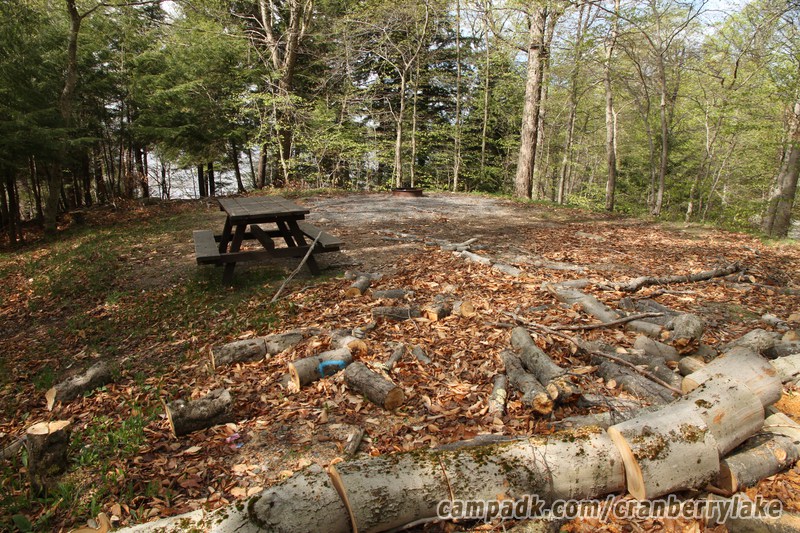 Campsite Photo of Site 14 at Cranberry Lake Campground, New York - Looking at Site from Part Way In