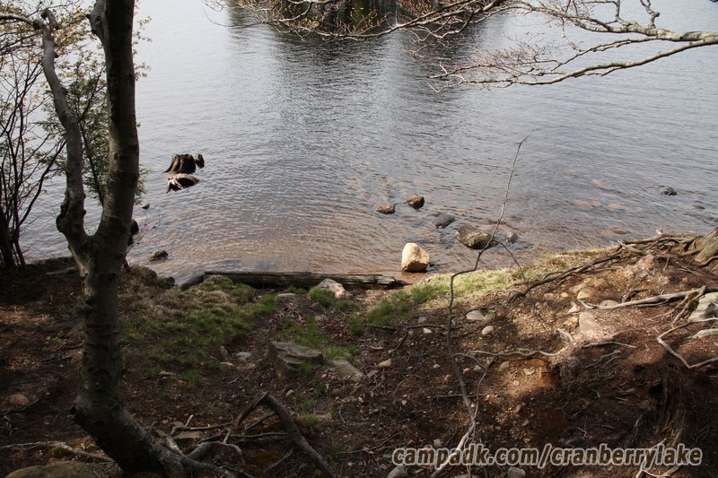 Campsite Photo of Site 14 at Cranberry Lake Campground, New York - Shoreline