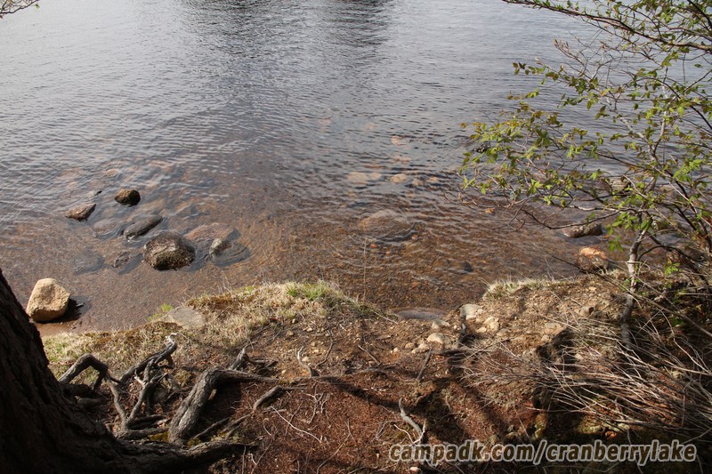 Campsite Photo of Site 14 at Cranberry Lake Campground, New York - Shoreline