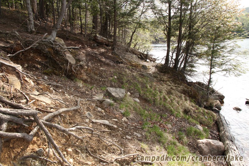 Campsite Photo of Site 14 at Cranberry Lake Campground, New York - Shoreline