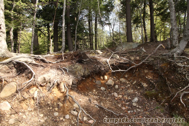 Campsite Photo of Site 14 at Cranberry Lake Campground, New York - Returning Along Pathway from Water