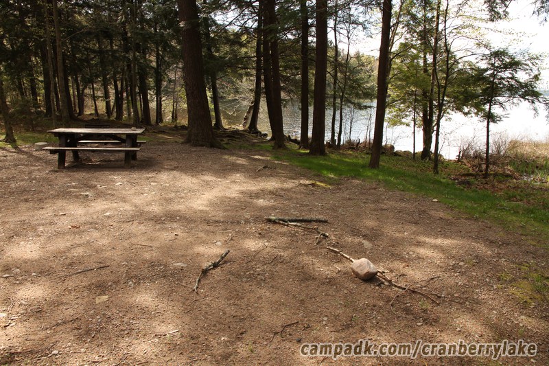 Campsite Photo of Site 45 at Cranberry Lake Campground, New York - Cross Site View