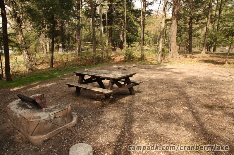 Campsite Photo of Site 45 at Cranberry Lake Campground, New York - Cross Site View