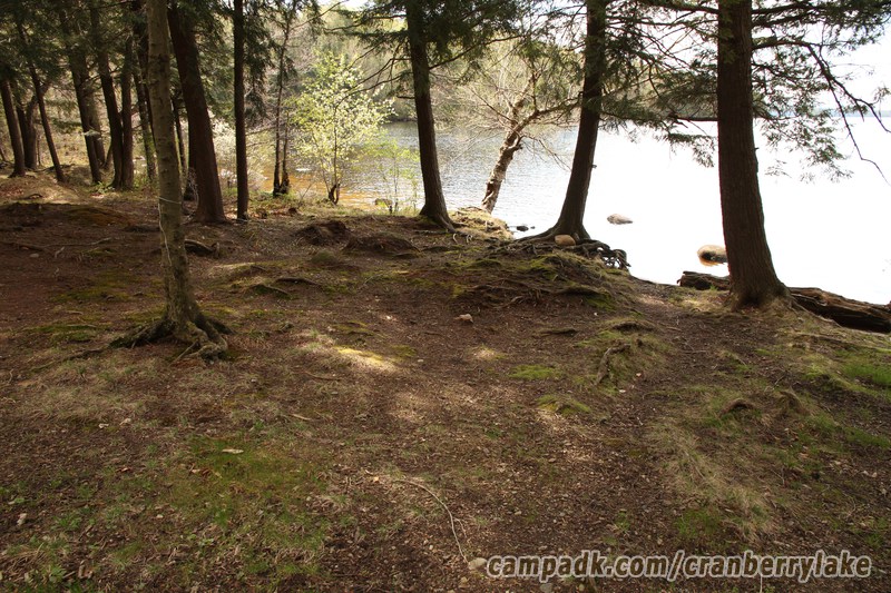 Campsite Photo of Site 45 at Cranberry Lake Campground, New York - Pathway Down to Water