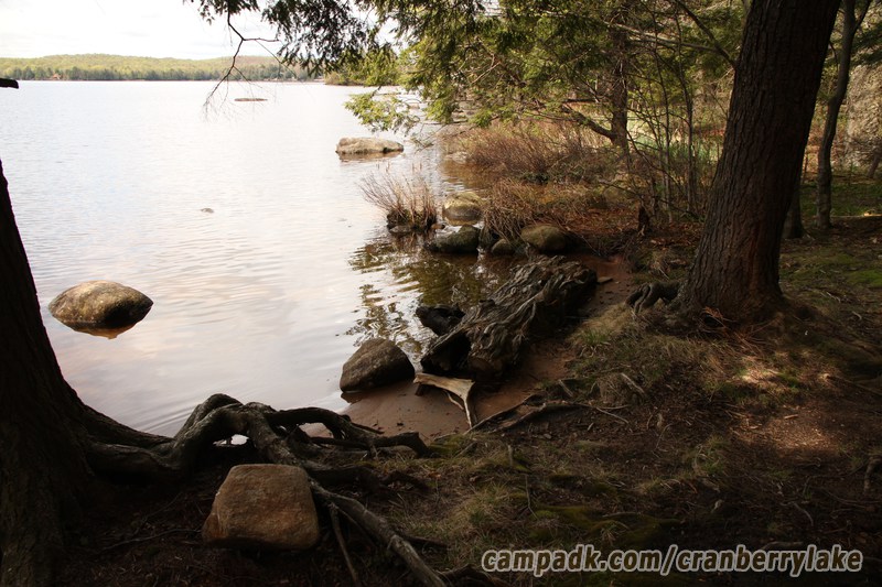 Campsite Photo of Site 45 at Cranberry Lake Campground, New York - Shoreline
