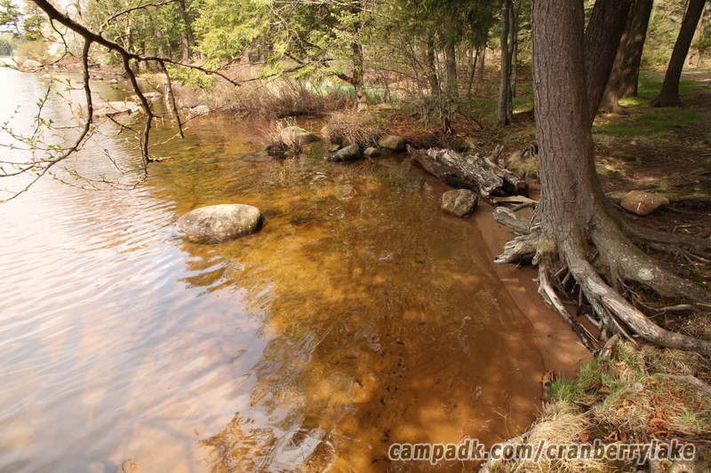 Campsite Photo of Site 45 at Cranberry Lake Campground, New York - Shoreline