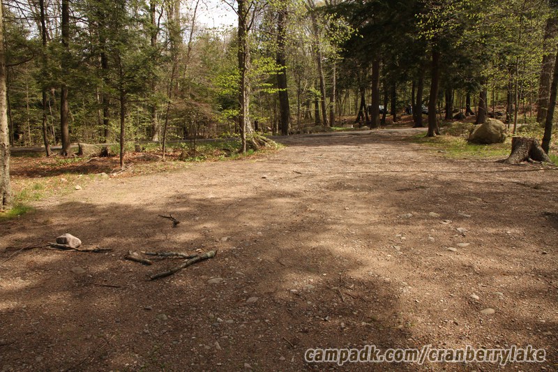 Campsite Photo of Site 45 at Cranberry Lake Campground, New York - Looking Back Towards Road