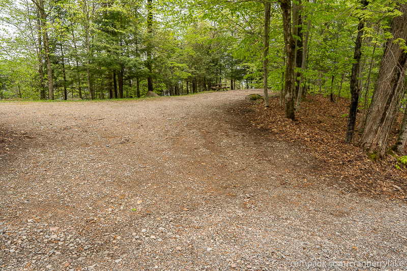 Campsite Photo of Site 14 at Cranberry Lake Campground, New York - Looking at Site from Road