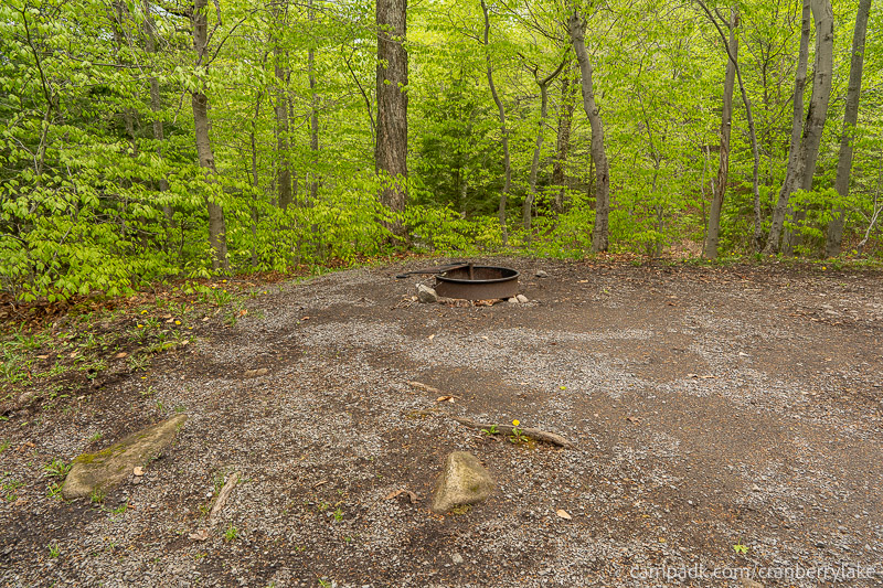 Campsite Photo of Site 14 at Cranberry Lake Campground, New York - Cross Site View