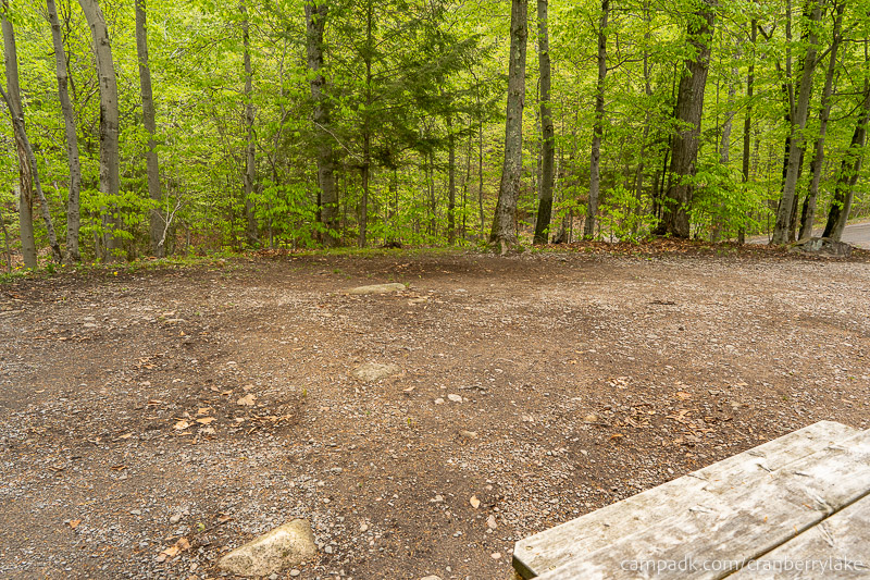 Campsite Photo of Site 14 at Cranberry Lake Campground, New York - Cross Site View