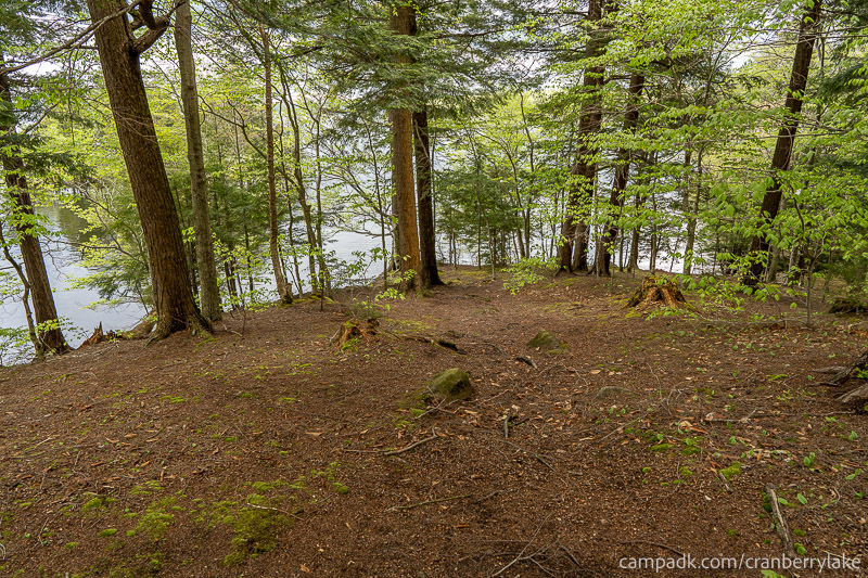 Campsite Photo of Site 14 at Cranberry Lake Campground, New York - Pathway Down to Water