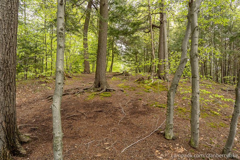 Campsite Photo of Site 14 at Cranberry Lake Campground, New York - Returning Along Pathway from Water