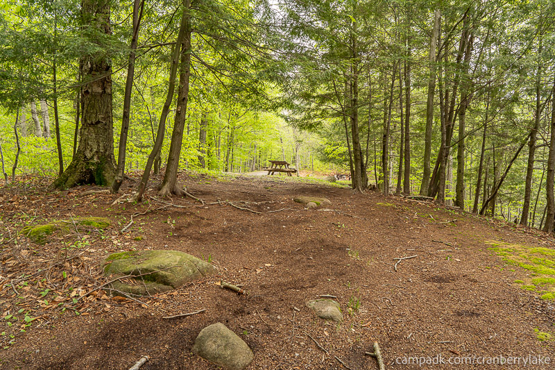 Campsite Photo of Site 14 at Cranberry Lake Campground, New York - Returning Along Pathway from Water