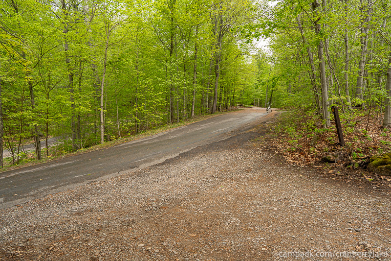 Campsite Photo of Site 14 at Cranberry Lake Campground, New York - Looking Back Towards Road