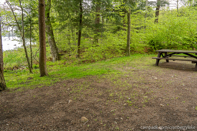 Campsite Photo of Site 45 at Cranberry Lake Campground, New York - Cross Site View