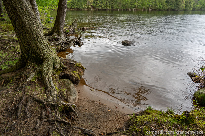Campsite Photo of Site 45 at Cranberry Lake Campground, New York - Shoreline