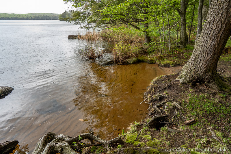 Campsite Photo of Site 45 at Cranberry Lake Campground, New York - Shoreline