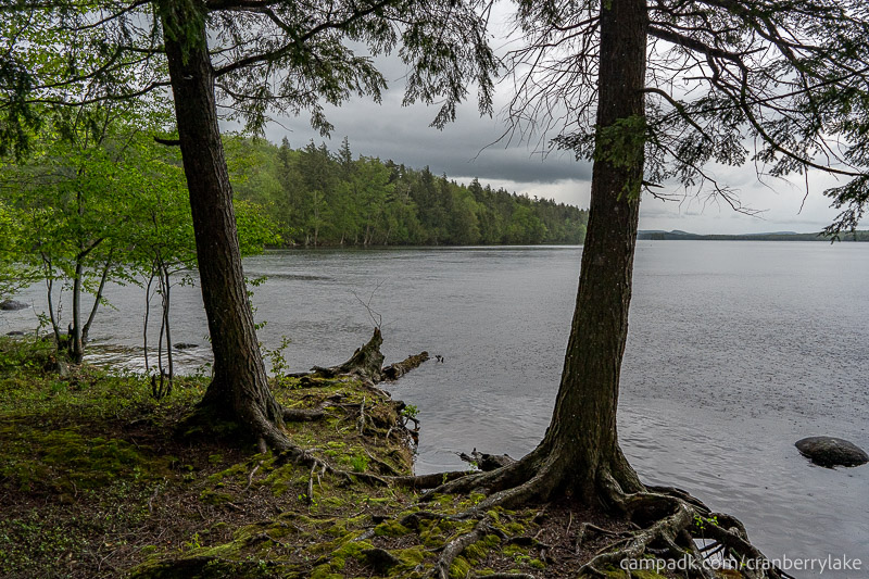 Campsite Photo of Site 45 at Cranberry Lake Campground, New York - View from Shoreline