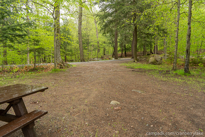 Campsite Photo of Site 45 at Cranberry Lake Campground, New York - Looking Back Towards Road