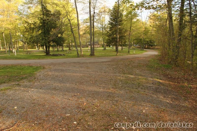 Campsite Photo of Site 30 at Darien Lakes State Park, New York - Looking Back Towards Road