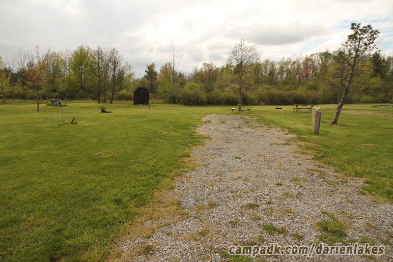 Campsite Photo of Site 114 at Darien Lakes State Park, New York - Looking at Site from Road