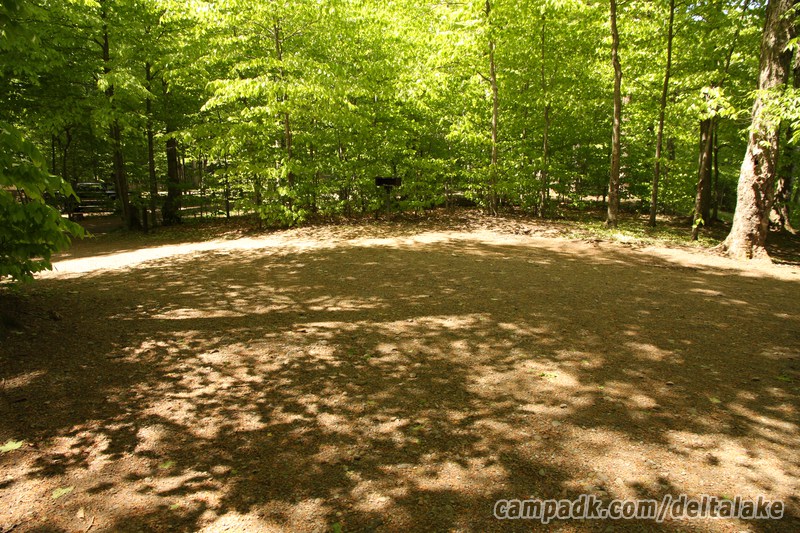 Campsite Photo of Site 92 at Delta Lake State Park, New York - Cross Site View