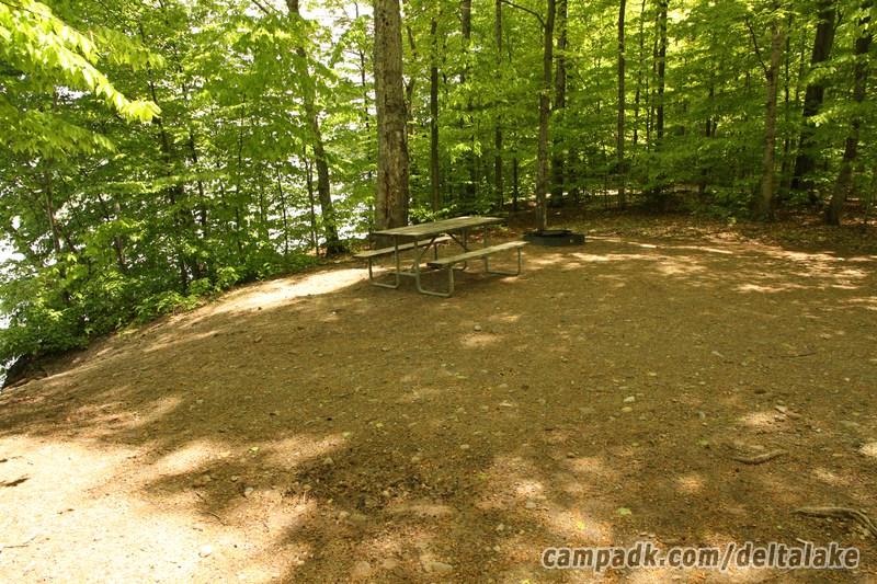 Campsite Photo of Site 92 at Delta Lake State Park, New York - Cross Site View