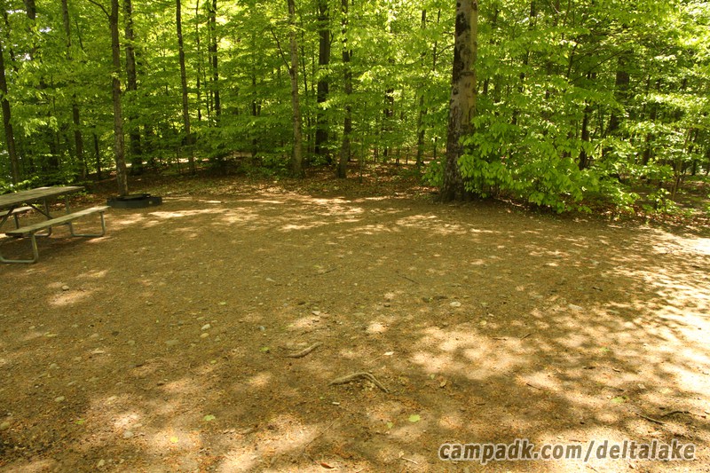 Campsite Photo of Site 92 at Delta Lake State Park, New York - Cross Site View