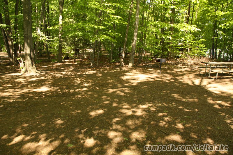 Campsite Photo of Site 10 at Delta Lake State Park, New York - Cross Site View