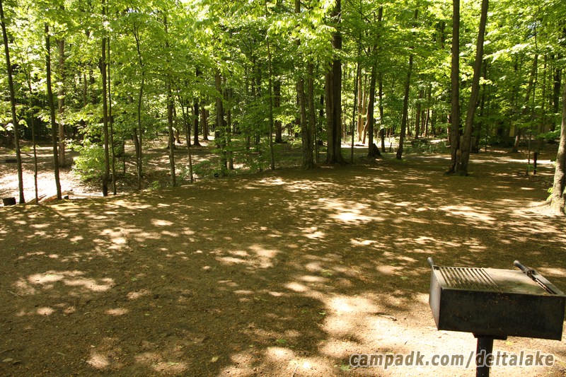 Campsite Photo of Site 10 at Delta Lake State Park, New York - Cross Site View