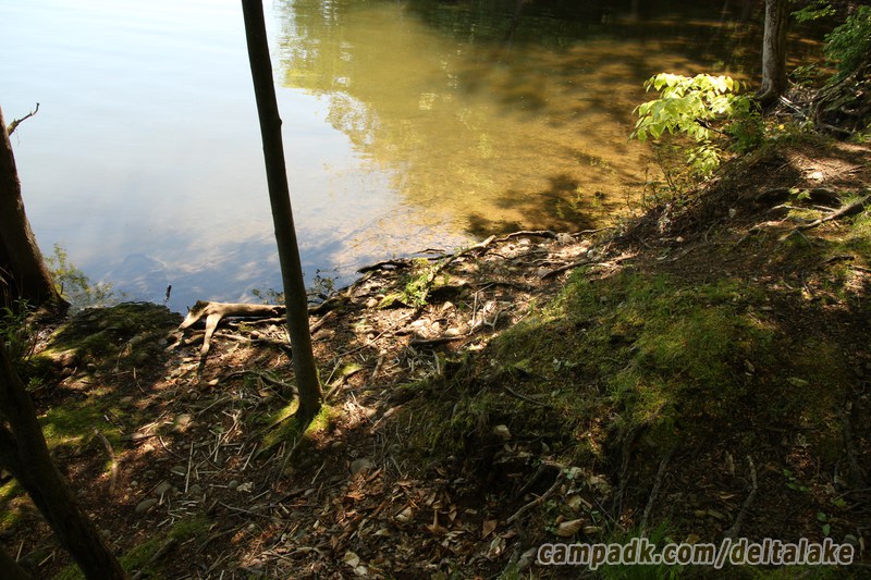 Campsite Photo of Site 10 at Delta Lake State Park, New York - Shoreline