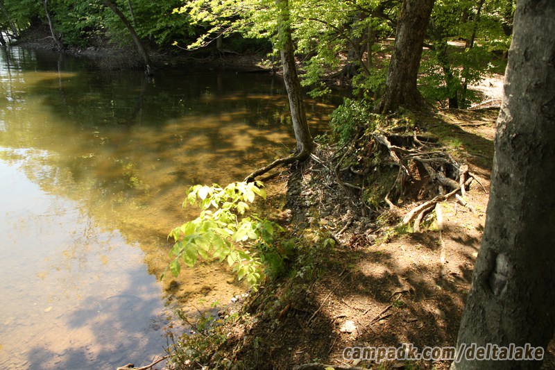 Campsite Photo of Site 10 at Delta Lake State Park, New York - Shoreline