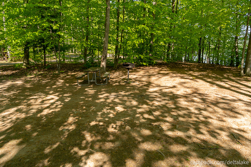 Campsite Photo of Site 10 at Delta Lake State Park, New York - Cross Site View