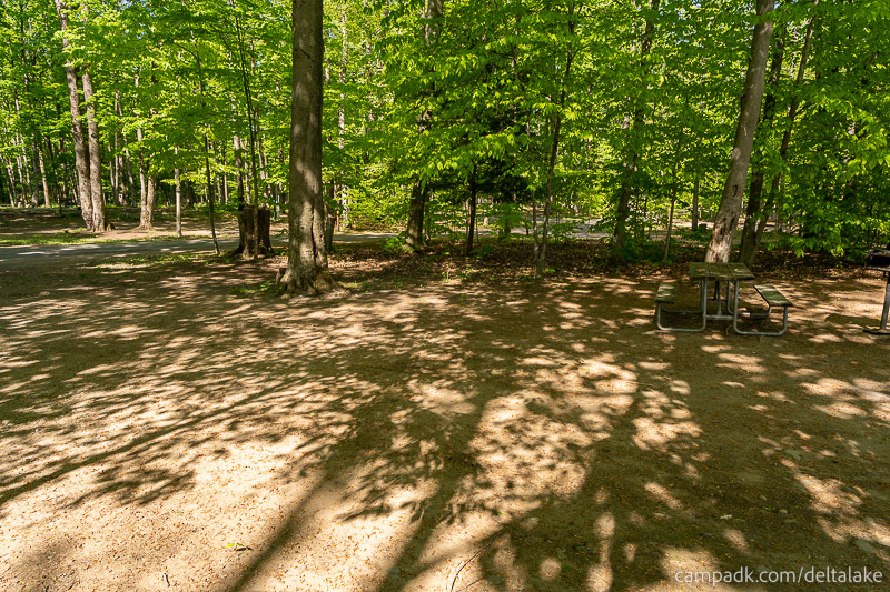 Campsite Photo of Site 10 at Delta Lake State Park, New York - Cross Site View