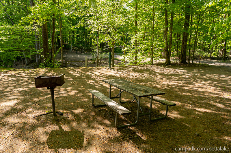 Campsite Photo of Site 10 at Delta Lake State Park, New York - Cross Site View