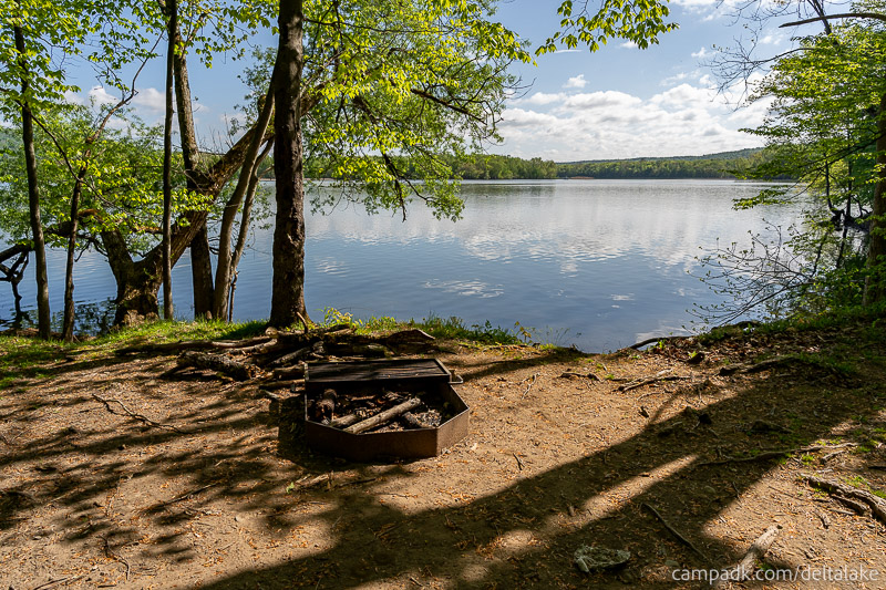 Campsite Photo of Site 10 at Delta Lake State Park, New York - Fireplace View