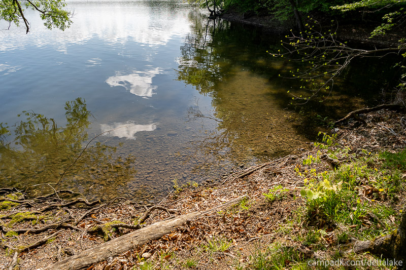 Campsite Photo of Site 10 at Delta Lake State Park, New York - Shoreline