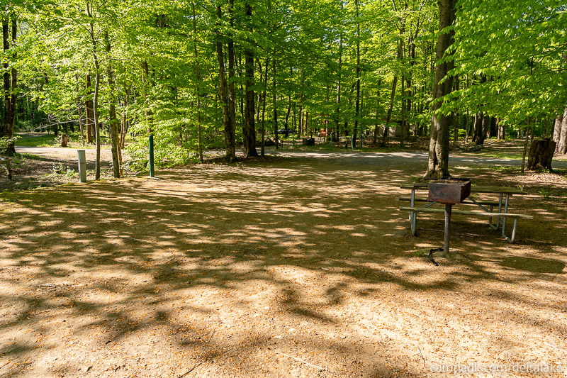 Campsite Photo of Site 10 at Delta Lake State Park, New York - Looking Back Towards Road