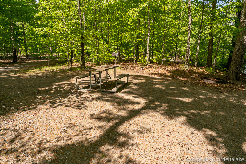 Campsite Photo of Site 92 at Delta Lake State Park, New York - Cross Site View